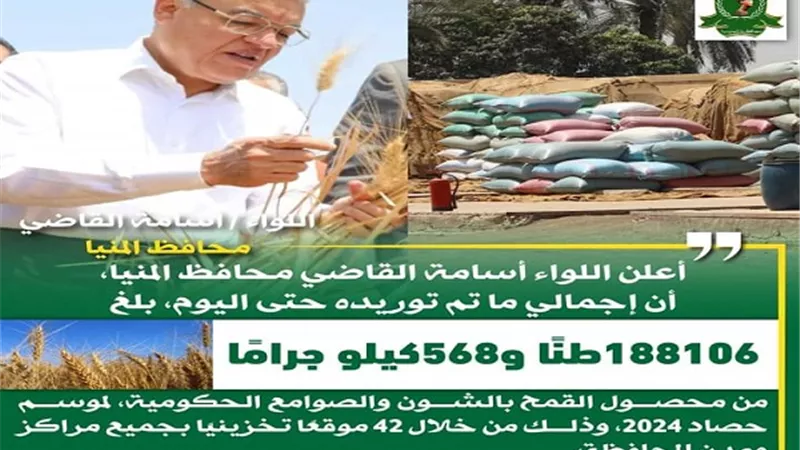 شون وصوامع المنيا تستقبل 188 ألف طن من محصول القمح