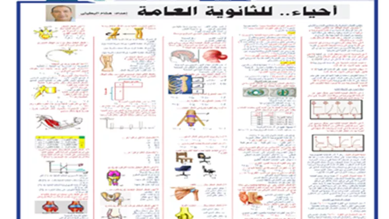 مراجعة نهائية..الخلطة السحرية في الأحياء للثانوية العامة 2024