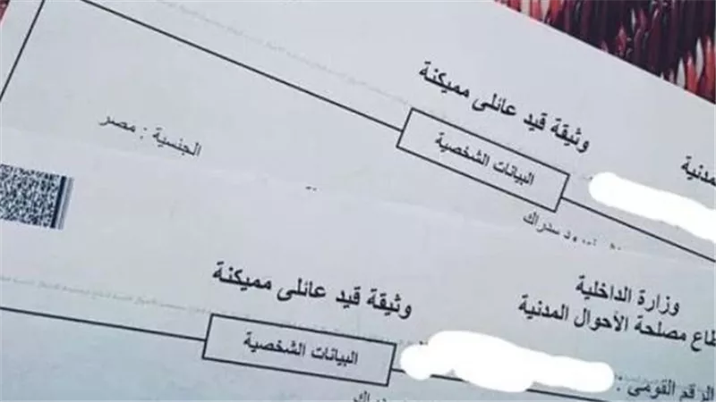 هل القيد العائلي يكشف الزوجة الثانية؟