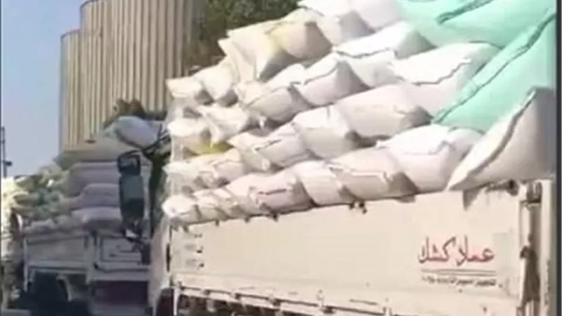 توريد 540 ألف طن قمح لصوامع وشون الشرقية
