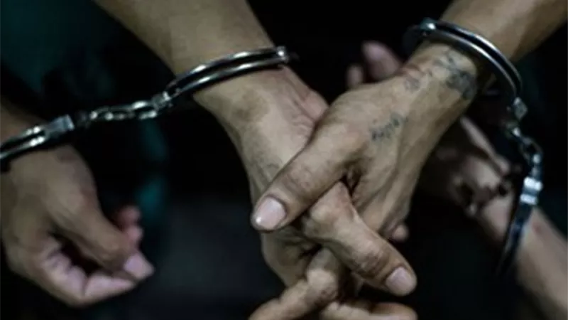 ضبط 3 أشقاء استولوا على أموال المواطنين بحجة توظيفها فى تجارة السجاد بطوخ