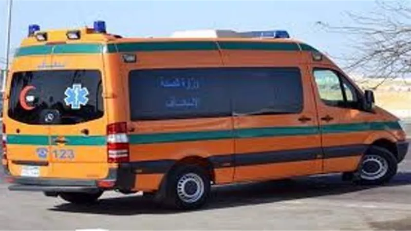 مصرع طفل رضيع وتباع بالشرقية