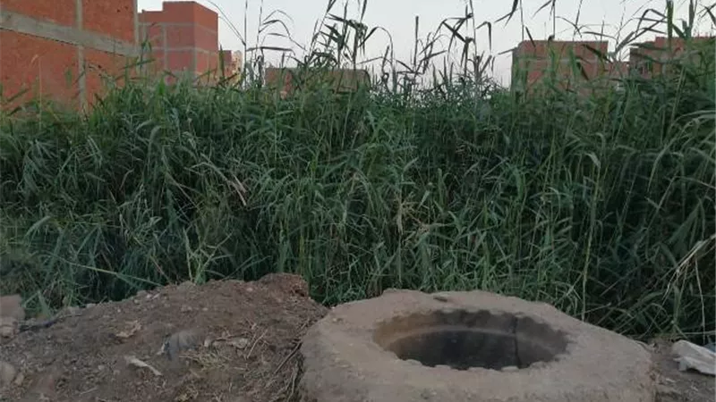 غريق ببيارة مزرعة بطريق الدبلوماسيين بوادى النطرون