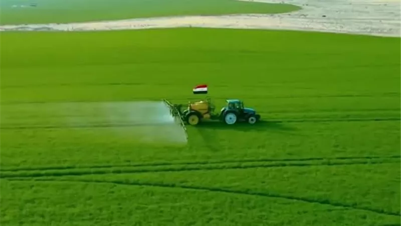 نقيب الزراعيين: الانتهاء من زراعة 2 مليون فدان العام المقبل ضمن مشروع مستقبل مصر