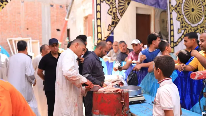 حماة الوطن بمشتول يبيع لحوم بلدى طازجة بـ٢٠٠ جنيه.. صور