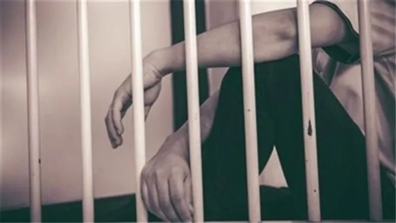 حبس عاطل قتل شقيقه داخل مزرعة بسبب خلافات مالية في الصف