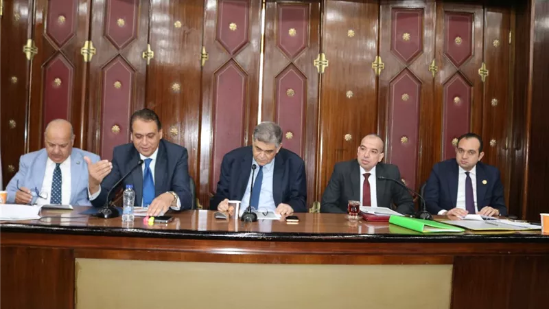 النواب ينتفض لصالح الأطقم الطبية المصرية ويقرر تخفيض نسبة تشغيل الأطقم الطبية الأجانب