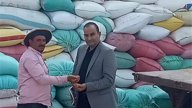 توريد 6442 طن و 84 كيلوا قمح اليوم لشون إيتاى البارود