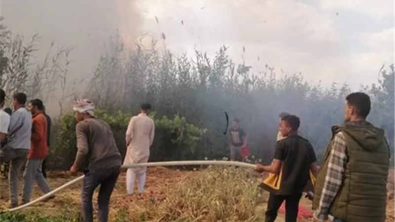 السيطرة على حريق بركة بوص وحشائش في الإسماعيلية
