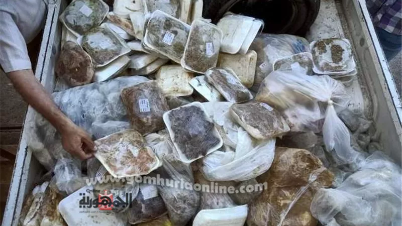 إعدام لحوم ودجاج غير صالحة للإستهلاك الآدمي بأسواق دمياط