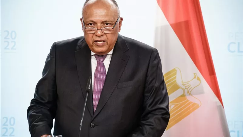 شكري يطالب المجتمع الدولي بترجمة أقواله إلى أفعال تنقذ الأبرياء في فلسطين