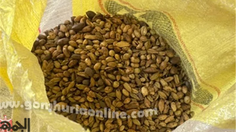 تموين المنوفية يضبط مصنع البن المغشوش