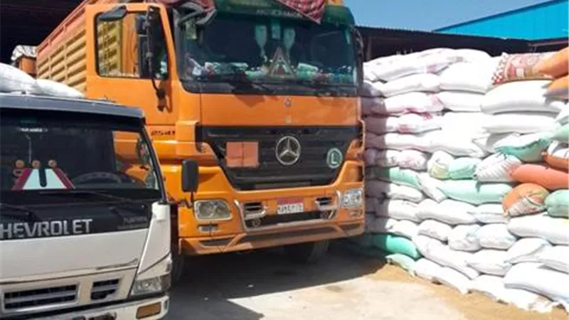 قمح كفرالشيخ تخطي١٨١ألف طن