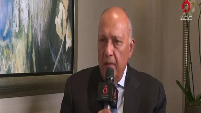 شكري: تحركنا نحو محكمة العدل الدولية احتراما للقانون الدولي