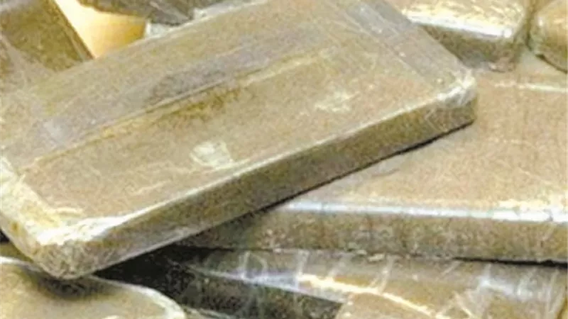 المعلمة 