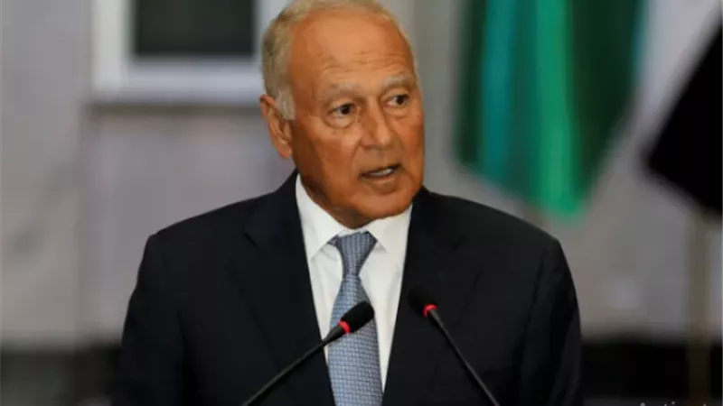 أبو الغيط: نطالب مجلس الأمن بإطلاق عملية سياسية لحل قضية فلسطين