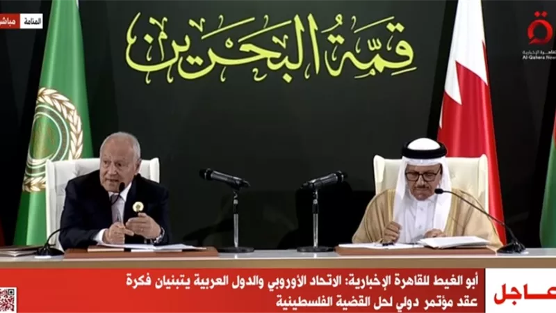 أبو الغيط: الاتحاد الأوروبي والدول العربية يتبنون عقد مؤتمر دولي لحل القضية الفلسطينية