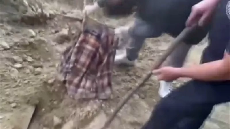 سمعت صراخه طلبًا للمساعدة .. الشرطة تنقذ رجلًا دفن 4 أيام حيًا |فيديو