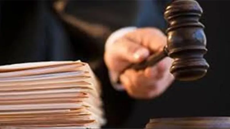 تعرف على الفرق بين الإفراج والبراءة فى القانون