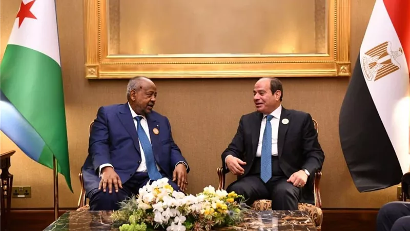 الرئيس السيسي يؤكد أهمية حماية الأمن والاستقرار في القرن الأفريقي