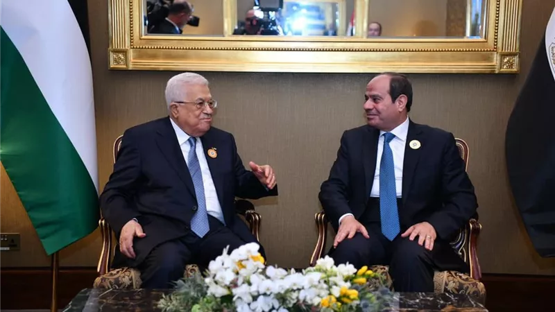 الرئيس السيسي يؤكد موقف مصر الثابت لإيجاد حل شامل للقضية الفلسطينية