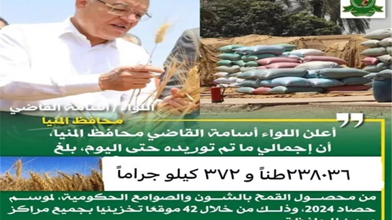 شون وصوامع المنيا تواصل استقبال القمح وتوريد 238 ألف طن