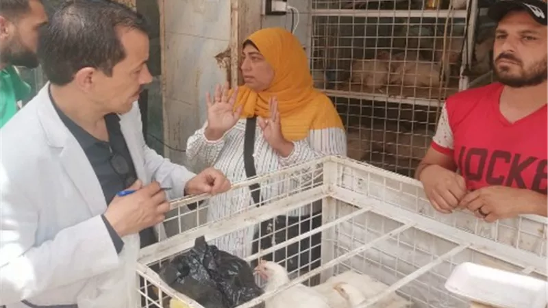 تموين القليوبية تحرر محضرًا ضد محل للطيور بمدينة طوخ