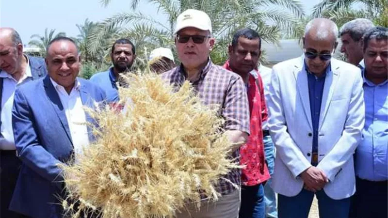 رئيس جامعة سوهاج يشهد موسم حصاد تقاوي القمح