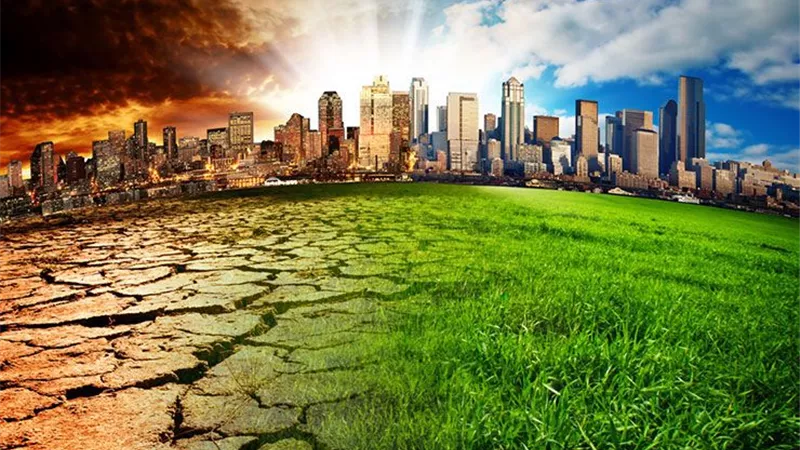 أداة بيولوجية قوية لمكافحة تغير المناخ