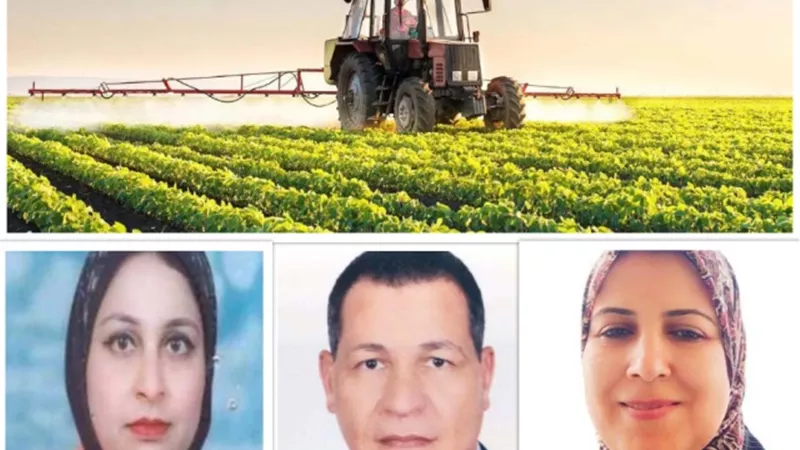 توطين الأسواق الحديثة بجوار مناطق الإنتاج يضمن توافر السلع