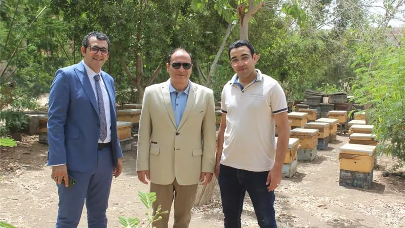 انشاء منحل عسل بكلية الزراعة جامعة المنيا