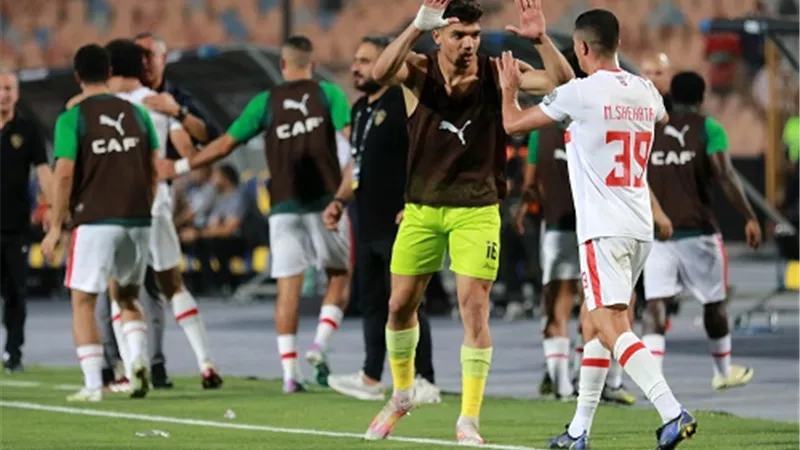 محمد صبحي: