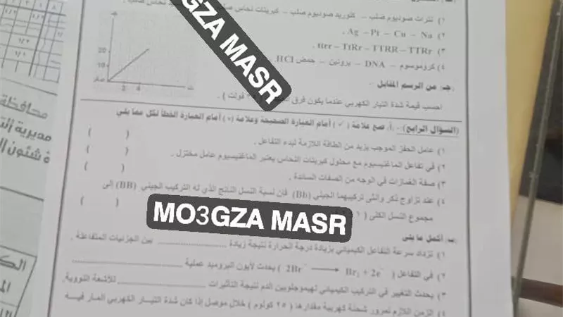 لليوم الرابع على التوالى .. تسريب امتحانات الإعدادية بالمنوفية