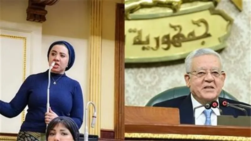 جبالى يهنئ النائبة أميرة برئاسة المبادرة العالمية لشباب البرلمانيين