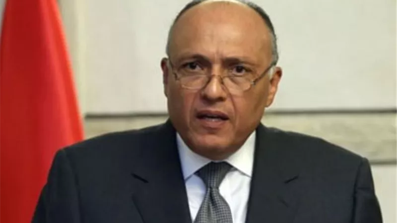 شكري يبحث مع رئيس منتدى 