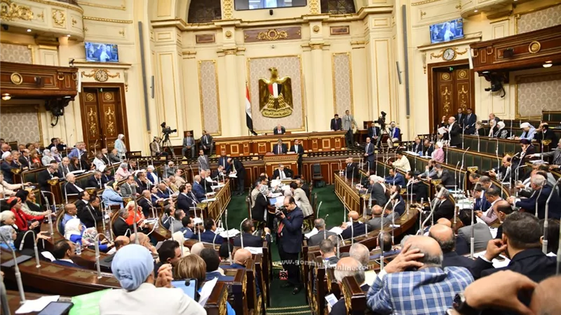 النواب يوافق على منحة للمجلس القومى لحقوق الإنسان