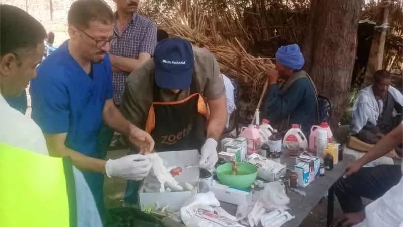 تنفيذ ٣ قوافل بيطرية مجانية بالقرى الأكثر احتياجاً بالمنيا