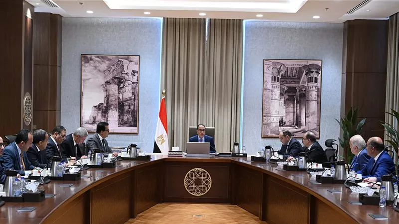 مدبولي:سنعمل مع القطاع الخاص لتذليل أي عقبة تواجه قطاع الدواء