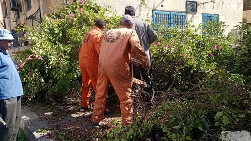 رفع كفاءة مسطحات وميادين الإسماعيلية