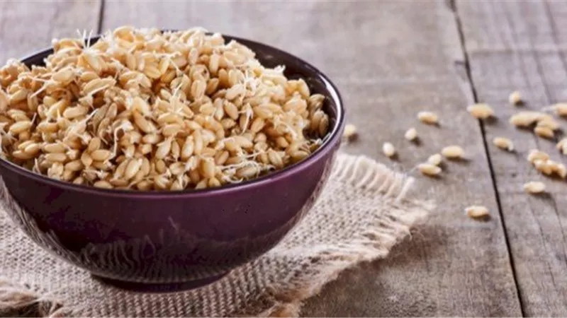 جنين القمح ودوره المذهل في إشراق البشرة .. تعرف عليه