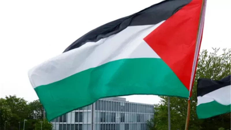 رويترز: أيرلندا ستعلن اليوم اعترافها بدولة فلسطين
