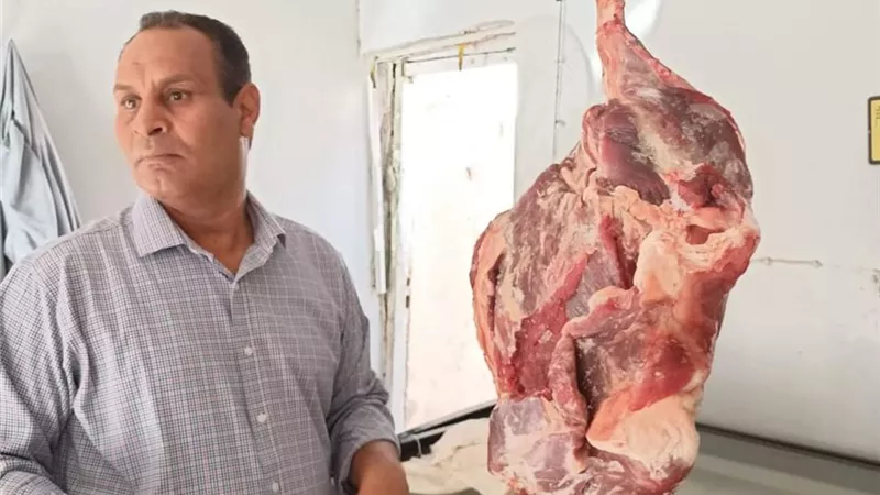 ضبط ٥٠ كيلو لحوم غير صالحة للاستهلاك الآدمى بمرسى علم