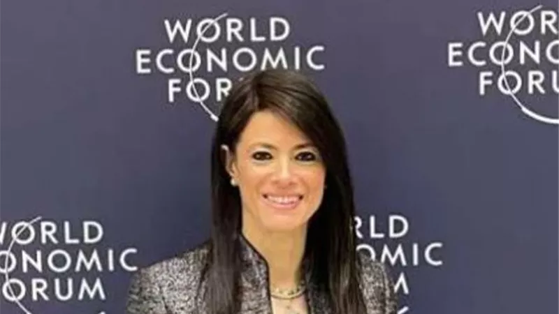 المشاط: المؤسسات المالية العربية تعزز جهود التنمية