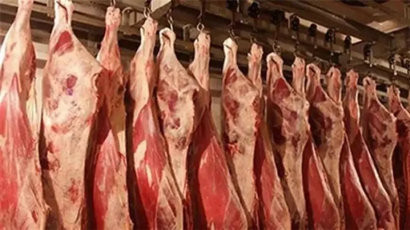 بالأرقام.. إنخفاض جديد في أسعار اللحوم البلدي الطازجة بالأسواق