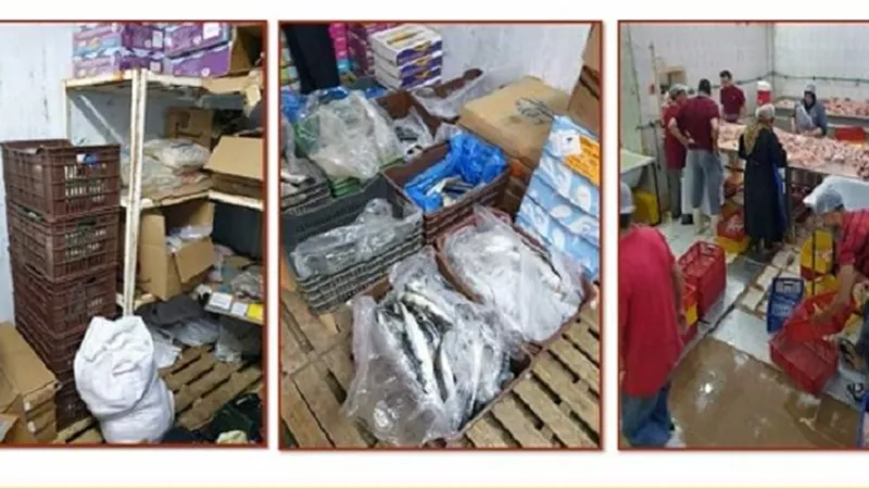 ضبط ٥ طن أسماك مدخنة ومجمدة ودواجن مخالفة بالشرقية