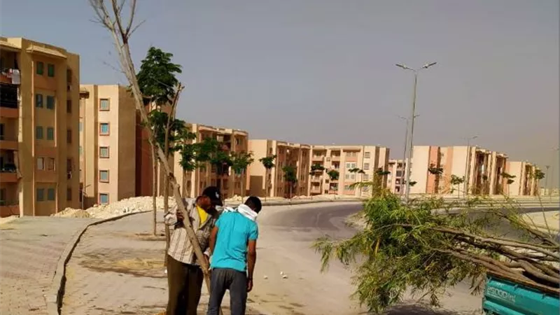 رئيس جهاز 15 مايو يعلن أهم أعمال الزراعة والتجميل فى المدينة.. صو