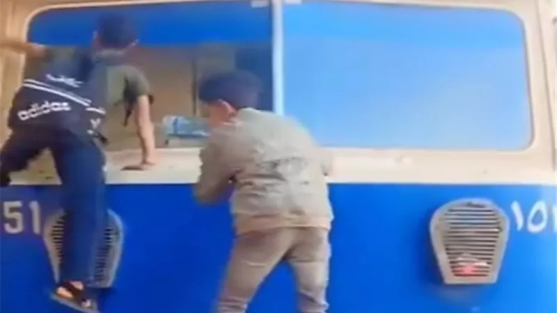 تسلق السبسنة مغامرة سكندرية نهايتها دائما الندم