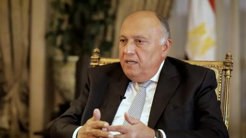 وزير الخارجية سامح شكري يتوجه إلى العاصمة الفرنسية باريس