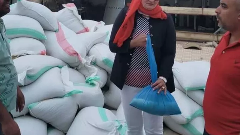 ضبط ١٣ طن قمح بمطروح قبل بيعها بالسوق السوداء