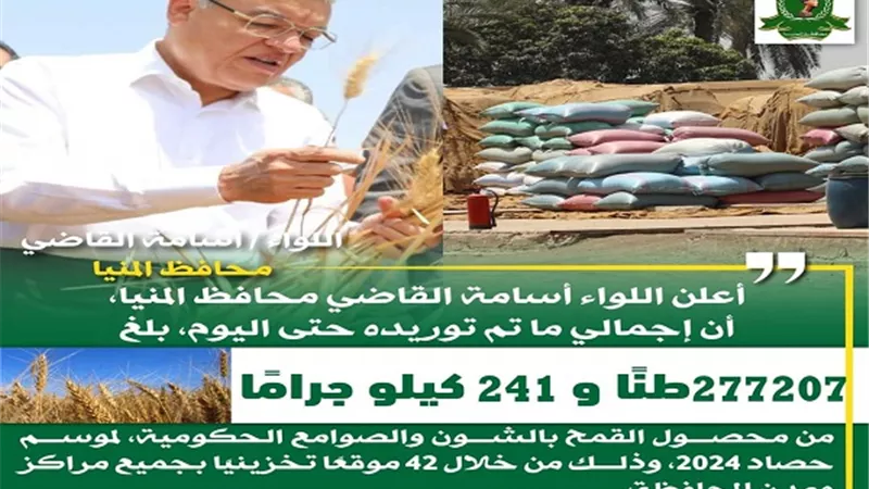 شون وصوامع المنيا تواصل استقبال القمح وتوريد 277 ألف طن